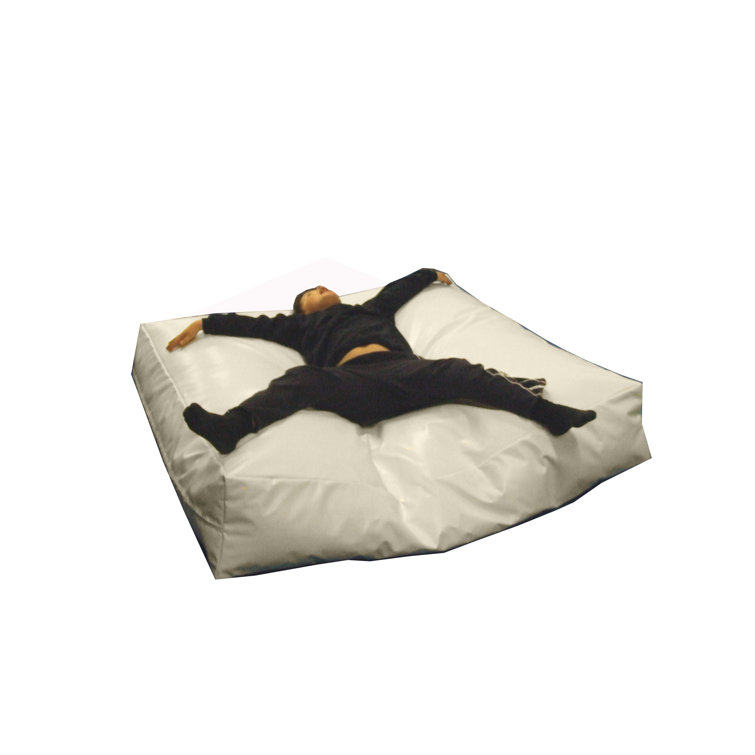 Sport and Playbase Sensory Bean Bag Chair Wayfair.co.uk